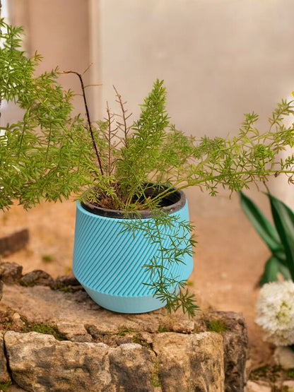Conical Swirl Planter