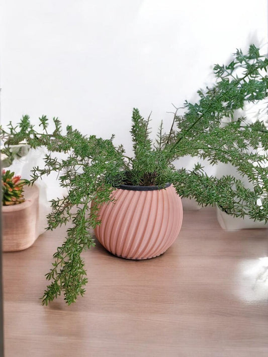 Spherical Planter
