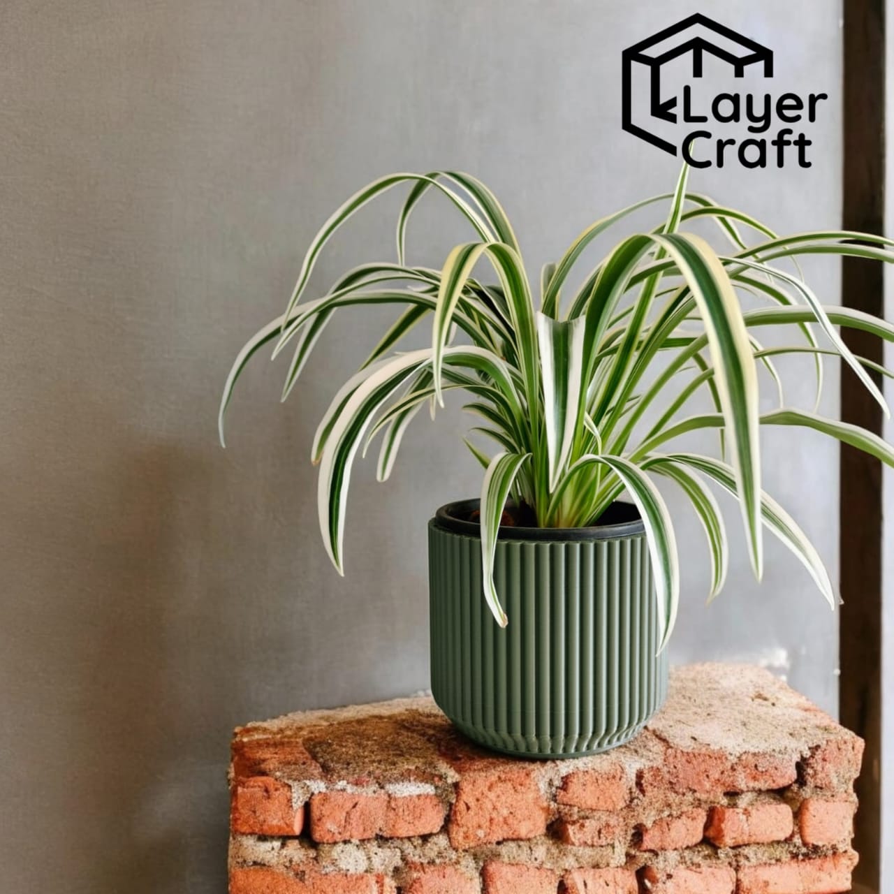 Elegant Ribbed Planter