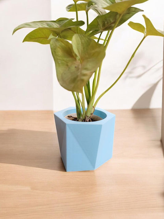 Triangular Planter