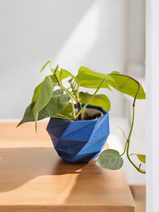 Geometric Planters