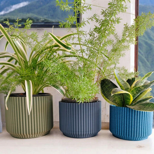 Elegant Ribbed Planter